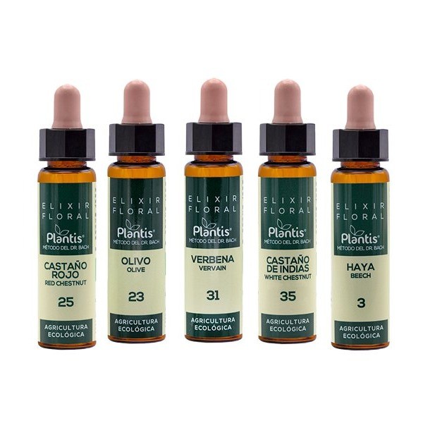 Castaño indias-35 elixir flora eco plantis 10 ml